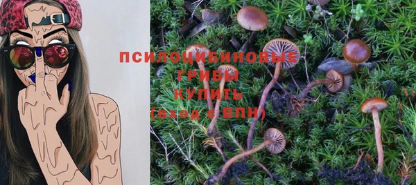 spice Вязники