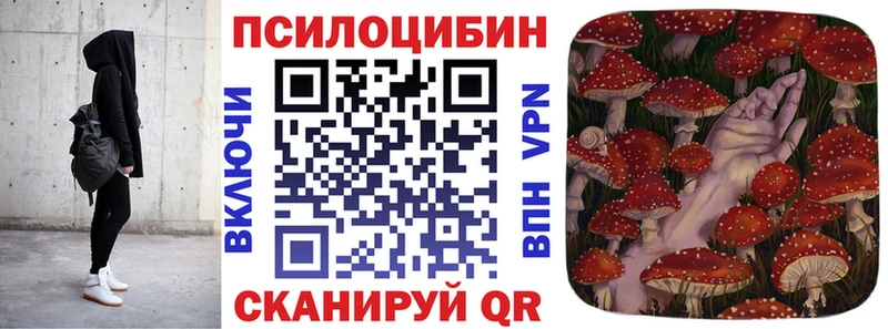 Галлюциногенные грибы GOLDEN TEACHER  купить наркотики сайты  Вологда 